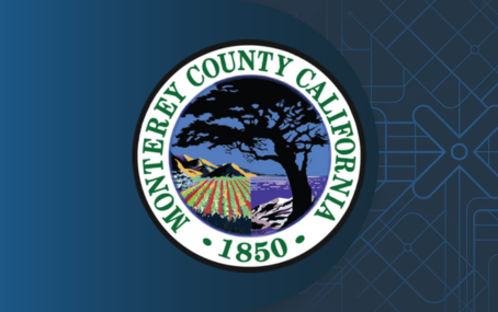 Monterey seal edited